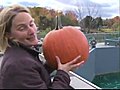 Weatherman Throws in His Microphone to Polar Bear’s Enclosure