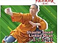 Shaolin Small Linked Quan_