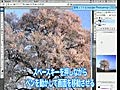 プロ写真家の現場　自然・動物写真家 川合麻紀 (補正編2)