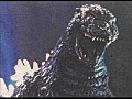 GODZILLA VIDEO