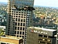 Black hawks keep watch over Sydney CBD