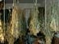 Feds Detail Bumbling Gang Members' Drug Crimes