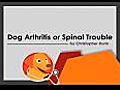 Dog Arthritis or Spinal Trouble