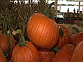 Everyone is big on Halloween pumpkins