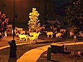 Goats Attempt City Take Over