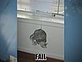 25 Cat Fails [Pics] - Diggnation Daily