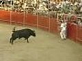 Gymnastic bull fighting