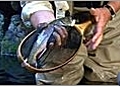 Fishing Basics - Catch and Release