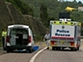 Body parts strewn across freeway