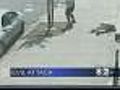 Heartless: Harlem Mugger Targeting Elderly