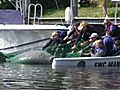 Injured manatee rescued