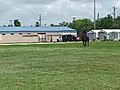 Fort Lauderdale Mounted Patrol leader retires