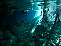 Snorkeling in Cenotes