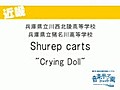 Shurep carts　