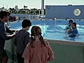 Dolphin Tale (Featurette)