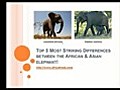 African Elephant Vs Asian (Indian) Elephant!