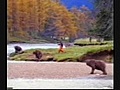 John West Fighting Bear - Commercial