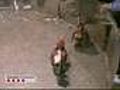 Diez detenidos por organizar peleas de gallos clandestinas