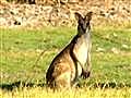 Kakadu: Naturaleza aborigen.