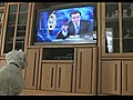 Dog Watches Himself on TV