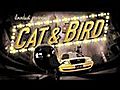 Cat & Bird (Short Animated Film) (Funny) HQ