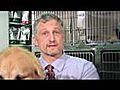 vet for dogs cats,  animal surgery, pet cancer treatment, buffalo vet, amherst vet