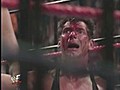 WWF.Austin.vs.McMahon.DVDRip.mp4