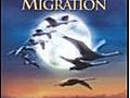 Winged Migration