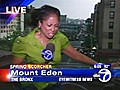 Reporter Blown by Winds on Live TV