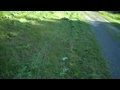 Mowing Weeds in Maine