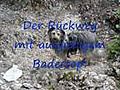 Dog-Trecking bei den Eifel-Gossen Bayern 2.Teil