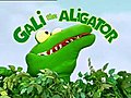 Gali the Alligator