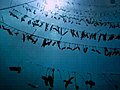 Undersea nursery for rare staghorn coral