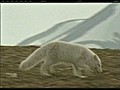 The Economic Cost of Arctic Global Warming [03-26-10 12:20 PM]