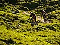 Mtb Freeride Day with Rocky Team Riders Wade Simmons & Mario Lenzen