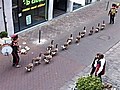 Geese join in drummer’s parade