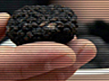 How to Buy Truffles