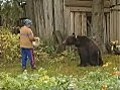 Медведь набросился на женщину.
