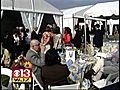 The Filly Wins,  But Preakness' Future Unknown