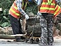 沙田大樹倒塌　踩單車男子受傷危殆