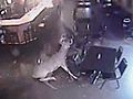 On Camera: Deer Smashes Through Bar Window