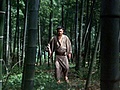 Zatoichi: The Blind Swordsman - Zatoichi and the Fugitives