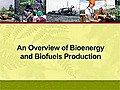 Bioenergy and Biofuels: An Overview of Bioenergy and Biofuels Production