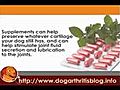 Supplements and other alternatives for dog arthritis