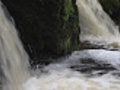 close up creek waterfall