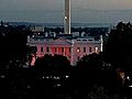 Raw Video: White House Becomes Pink for a Night