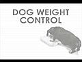 Dog Weight Loss