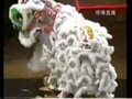 香港97世界醒獅邀請賽【東莞石排中坑體育會8.16分】