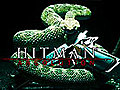 [E3 2011] Hitman Absolution