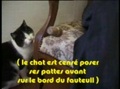 Bétisier parodique de la série Chat-minou